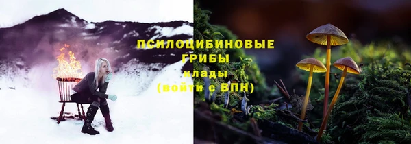 ПСИЛОЦИБИНОВЫЕ ГРИБЫ Армянск