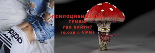 ПСИЛОЦИБИНОВЫЕ ГРИБЫ Армянск