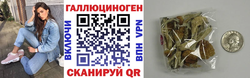 Псилоцибиновые грибы Psilocybine cubensis hydra ONION Игарка